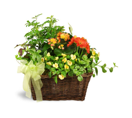 Springtime Sympathies Garden Basket™