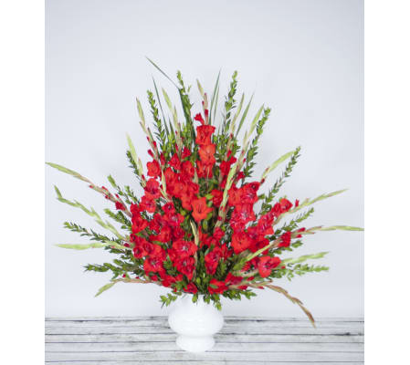 Glorious Gladiolus