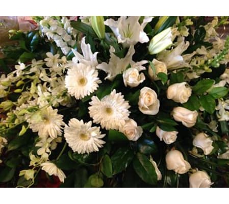 Modern peaceful memories casket spray