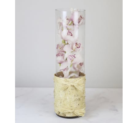 Cymbidium Vase