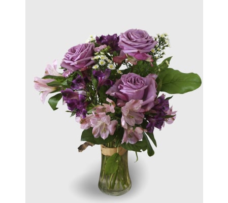Vivid Violets