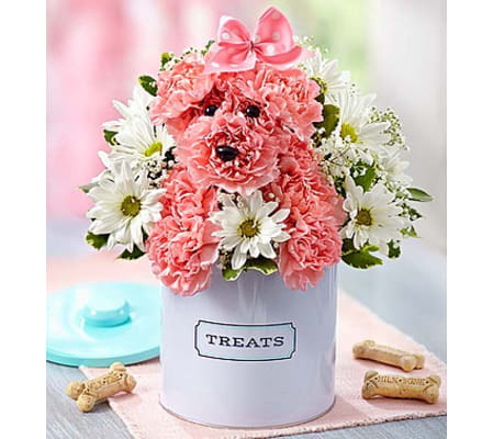 Princess Paws™ in Treats Canister