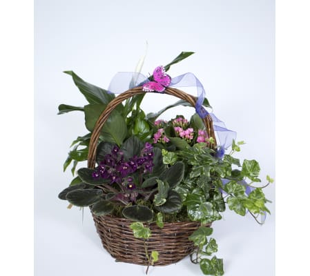 Blooming Basket of Joy