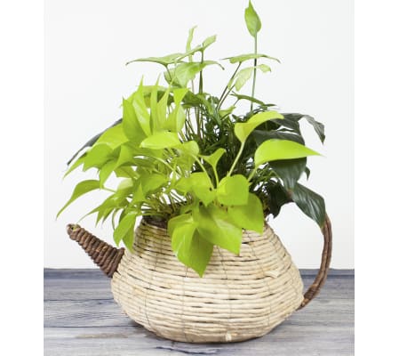Teapot Basket