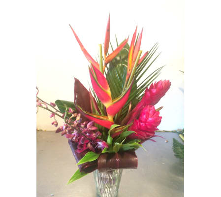 InstaGram Tropical Special