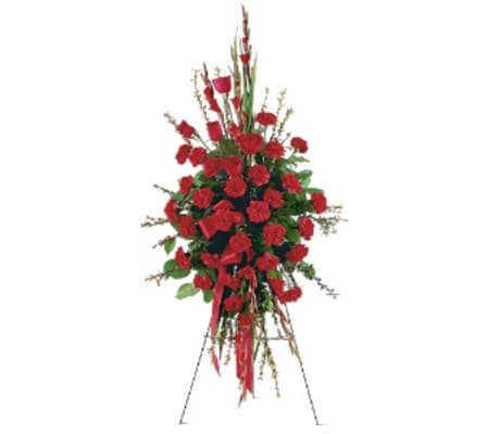 Red Regards Spray