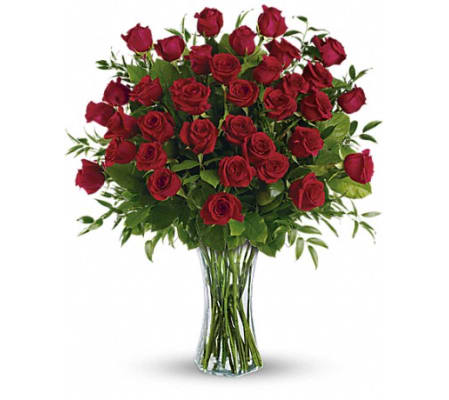36 Breathtaking Roses