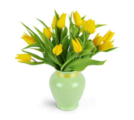 Totally Tulips™
