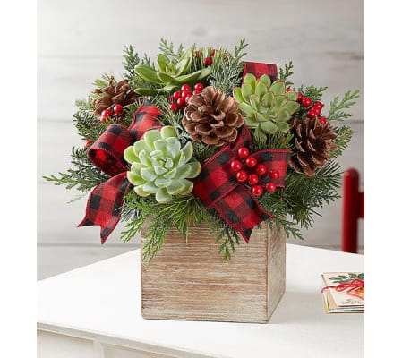 Modern Christmas Succulent Arrangement™