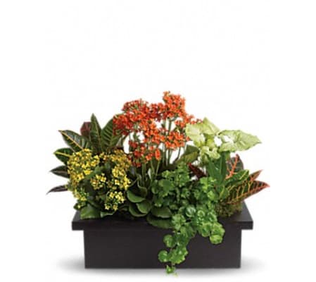 STYLISH PLANTER