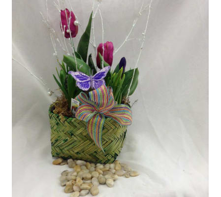Spring Mixed Bulb Pot