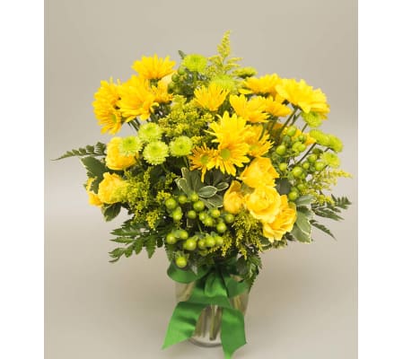 We Love Our Green and Yellow!