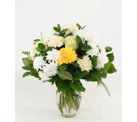 Cheerful White and Yellow Design