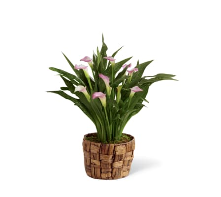 The FTD® Calla Lily Planter