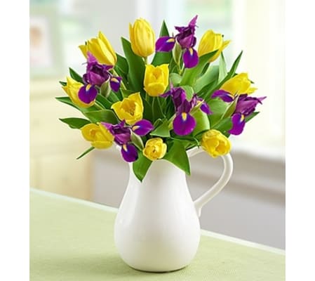 Pitcher Full of Spring