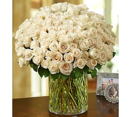 100 Premium White Roses in a Vase