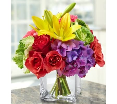 Vibrant Charm