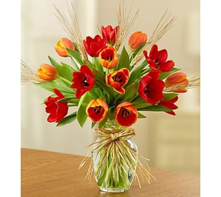 Timeless Tulips™ for Fall