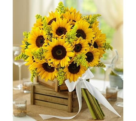 Country Wedding All Sunflower Bouquet