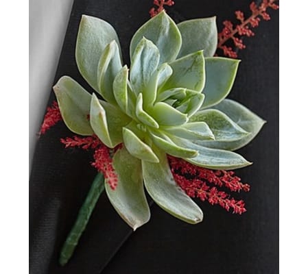 Vineyard Wedding Boutonniere