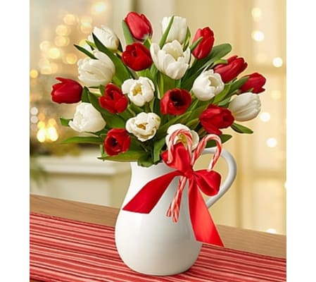 Peppermint Pitcher of Tulips™ - Red and White