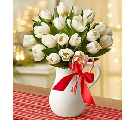 Peppermint Pitcher of Tulips™ - White