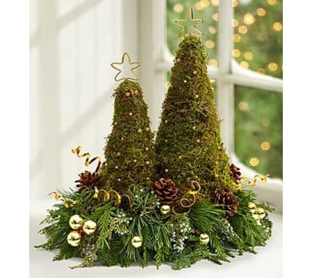 Contemporary Christmas Trees