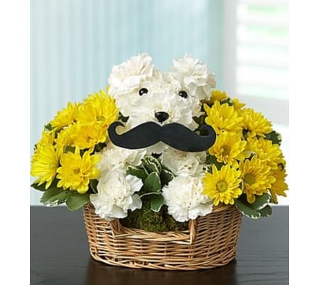 Mustache Dog