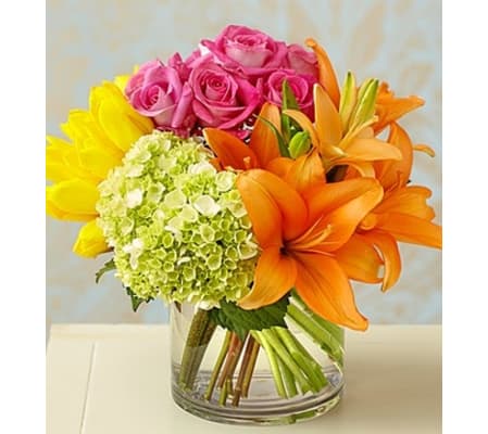 Colorburst of Spring™