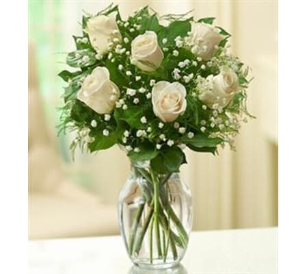 Rose Elegance™ Premium White Roses - 1/2 Doze