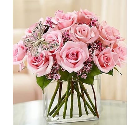 Modern Roses - One Dozen Pink