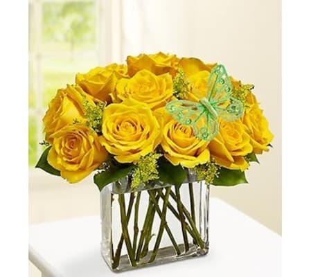 Modern Roses - One Dozen Yellow