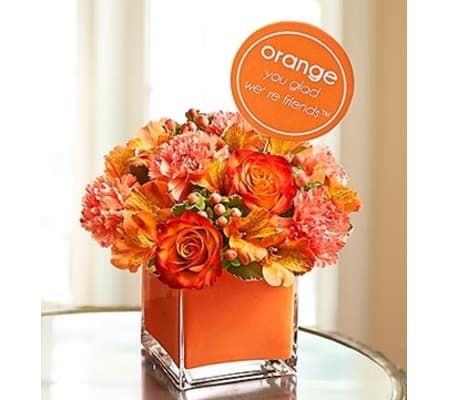 Orange You Glad We’re Friends™
