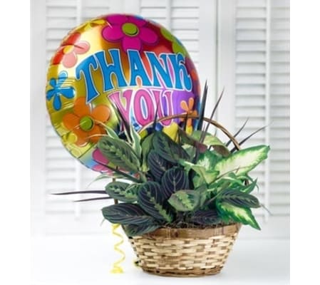 Thank You Garden