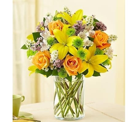 Fields of Europe™ in Cylinder Vase