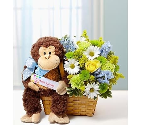 Lotsa Love® for New Baby Boy