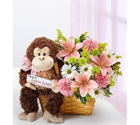 Lotsa Love® for New Baby Girl