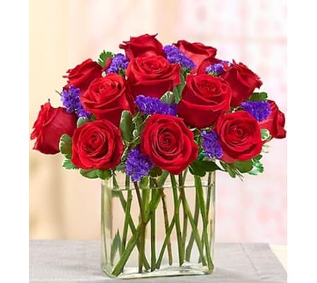Modern Roses - One Dozen Red