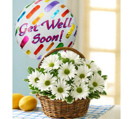 Basket Full of Daisies with Get Well Balloon