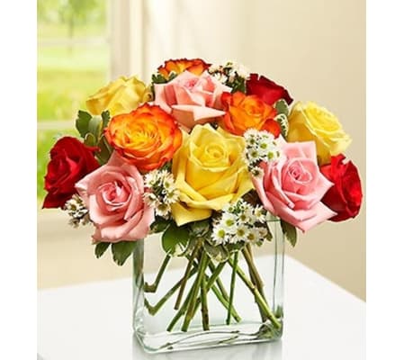 Modern Roses - One Dozen Assorted