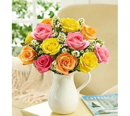 Pitcher Full of Roses, Assorted