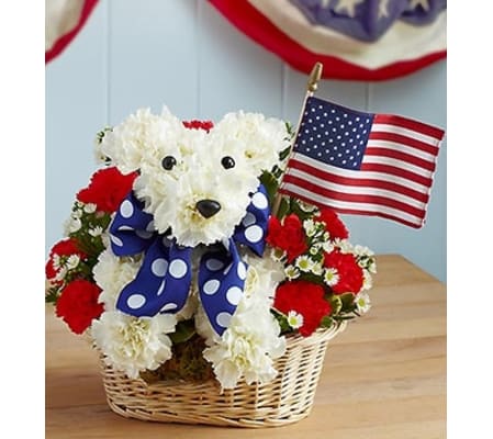 Yankee Doodle Doggie™