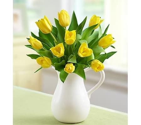 Yellow Tulips in Pitcher