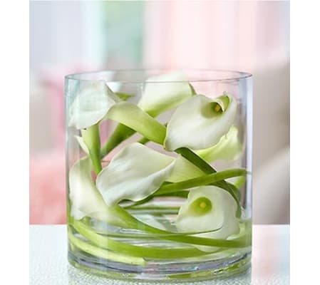 Mini Calla Wrapped in Cylinder