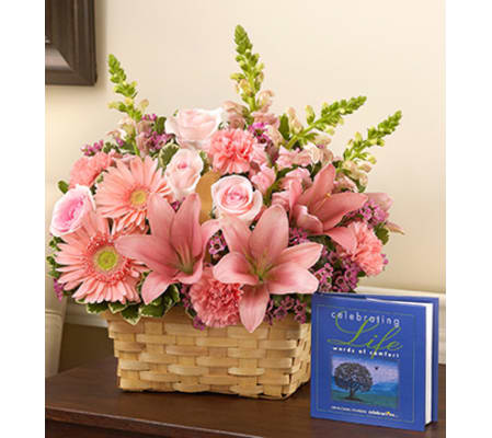 Celebrating Life - All Pink