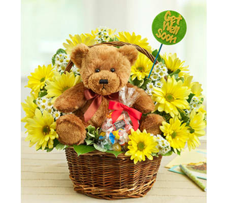 Lotsa Love® Get Well