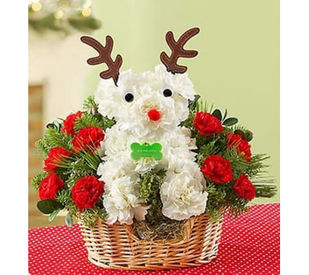 Santa’s Best Reindeer™