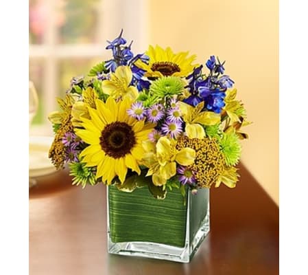 Fields of Europe™ for Summer in Cube Vase