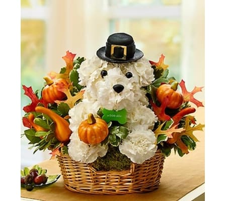 Pilgrim Pooch™