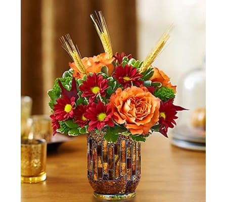 Amber Waves™ for Autumn